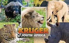 Kruger 1